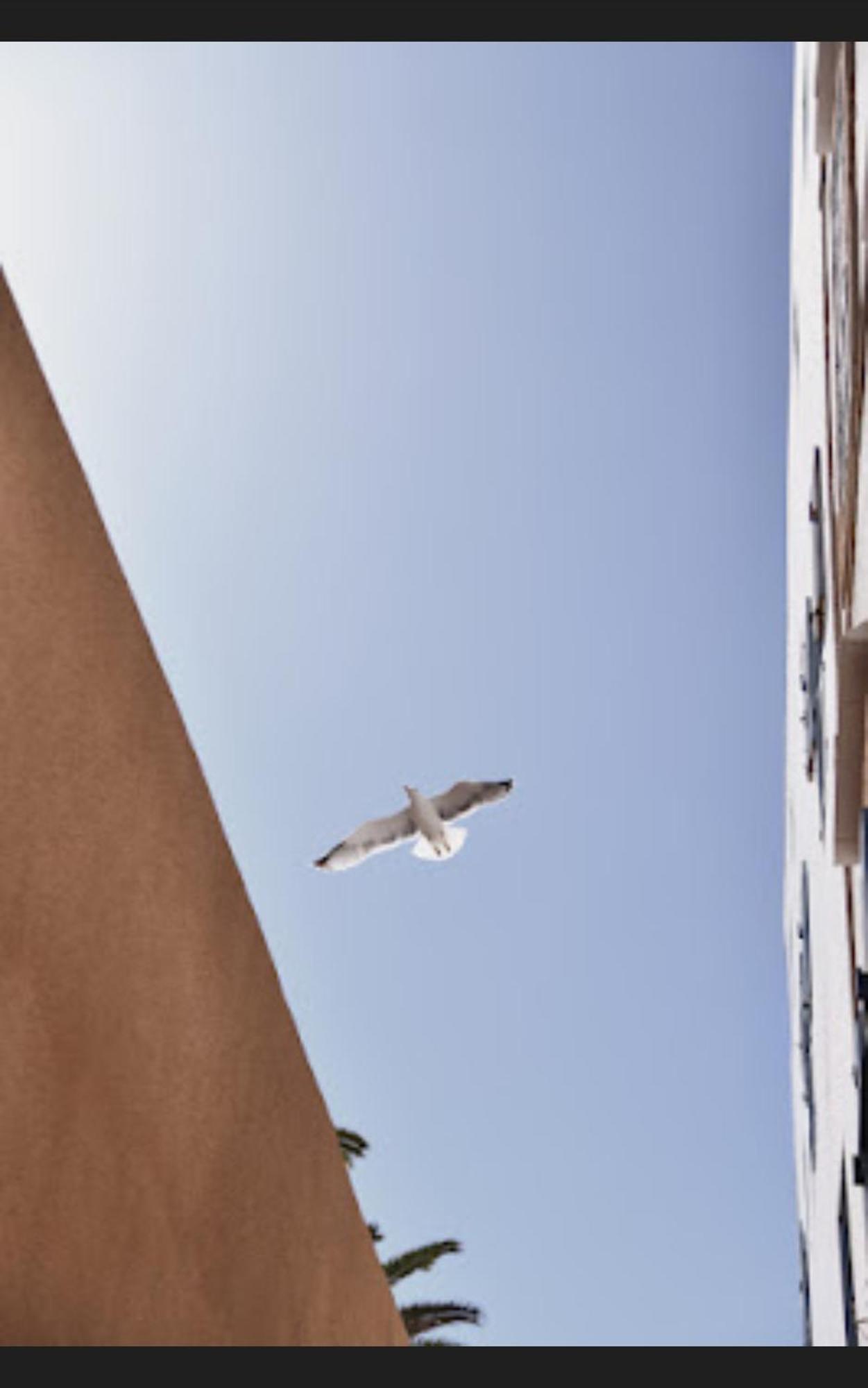 Apartament Loft Incroyable En Medina As-Suwajra Zewnętrze zdjęcie